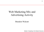 Web Marketing Mix and Advertising Activity