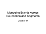 Managing Brands Across Boundaries and Segments