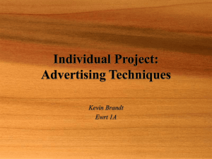 Individual Project: Advertising Techniques