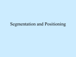 Segmentation and Positioning