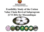 Feasibility Study of the Cotton Value Chain Revival Subprogram