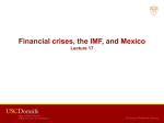 Lecture 17: The IMF & Financial Crises