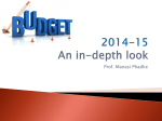 Budget 2014-15 An in-depth look