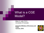 What is a CGE Model?