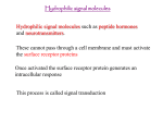 Lesson 7 Hydrophilic signalling