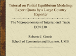 Tutorial on Partial Equilibrium Modeling: The Case of an