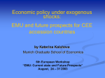 Economic policy under exogenous shocks: EMU and future