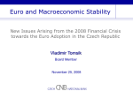 Euro and Macroeconomic Stability