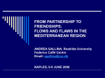 FROM PARTNERSHIP TO FRIENDSHIPS: FLOWS AND FLAWS …