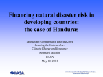 Financing natural disaster risk in developing countries