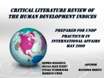 Critical Literature Review of the Human Development Indices