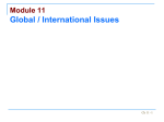 Chapter 11 Global / International Issues