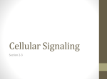 Chapter 11 Cellular Signaling