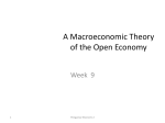 A Macroeconomic Theory of the Open Economy