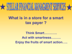 What is in a store for a smart tax payer