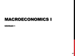 Advanced Macroeconomics