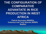 THE CONFIGURATION OF COMPARATIVE ADVANTAGE IN RICE