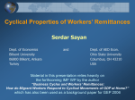 Cyclical Properties of Workers` Remittances