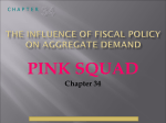 Fiscal policy