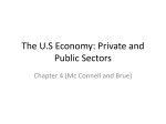 The U.S Economy: Private and Public Sectors