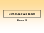 Exchange Rate Topics