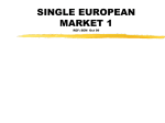 Single European Market (SEM)