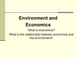 13 – Environment and Economics