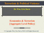 Topic Six - The Link Between Economics and Terrorism