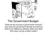 Government Budget