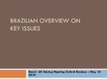 Brazilian overview on key issues