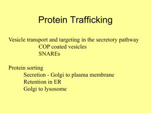 Protein Trafficking4