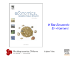 9 The Economic Environment