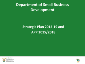 Department of Small Business Development Strategic Plan 2015