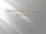 THE NATURE OF SMALL BUSINESS