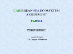 The CARSEA assessment and its scenario exercise