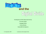 Localisation and the digital divide