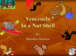 In a Nut Shell