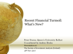 Recent Financial Turmoil - What`s New by Dr Peter