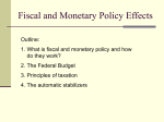 Fiscal and Monetary Policy Effects