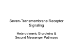 Seven-Transmembrane Receptor Signaling