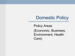 Domestic Policy PP