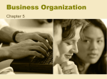 Business Organization - mhmsbusinessprinciples