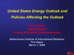 United States Energy Outlook and Policies Affecting the Outlook