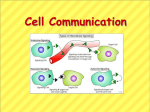 AP BIO Chp 11 Cell to Cell Communication
