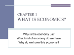 CHAPTER 1 THE ECONOMY IS US!