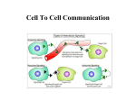 Intro Cell-Cell Communication