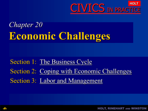 Chapter 20: Economic Challenges