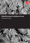 Global Economic Conditions Survey Benchmark Report: Q1 2009