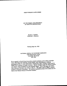 NBER WORKING PAPELSERIES ON THE TIMING AND EFFICIENCY OF CREATIVE DESTRUCI'ION