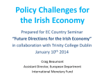 Policy Challenges for the Irish Economy Prepared for EC Country Seminar